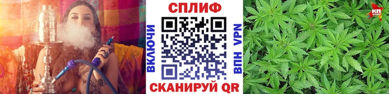 Марихуана семена Шахты